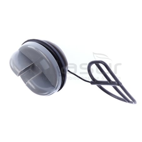 TAPN GASOLINA/VALE MG4618 - motoscamaralweb.com