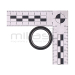 RETEN EJE RUEDAS (B43) MTC340 - motoscamaralweb.com