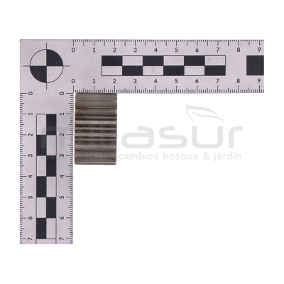 PIÑON DE ENGRANAJE SALIDA EJE RUEDA LARGO (D84) MTC340 - motoscamaralweb.com