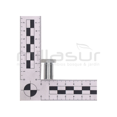 TORNILLO SUJCCION PALANCA SENTIDO MARCHA (I319) MTC340 - motoscamaralweb.com