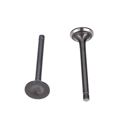 JUEGO VALVULAS G270F (10) - motoscamaralweb.com