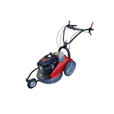 DESBROZADORA DE CUCHILLA MOTOR RV170 - motoscamaralweb.com