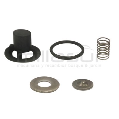 KIT VALVULA MC25 (68+73) - motoscamaralweb.com