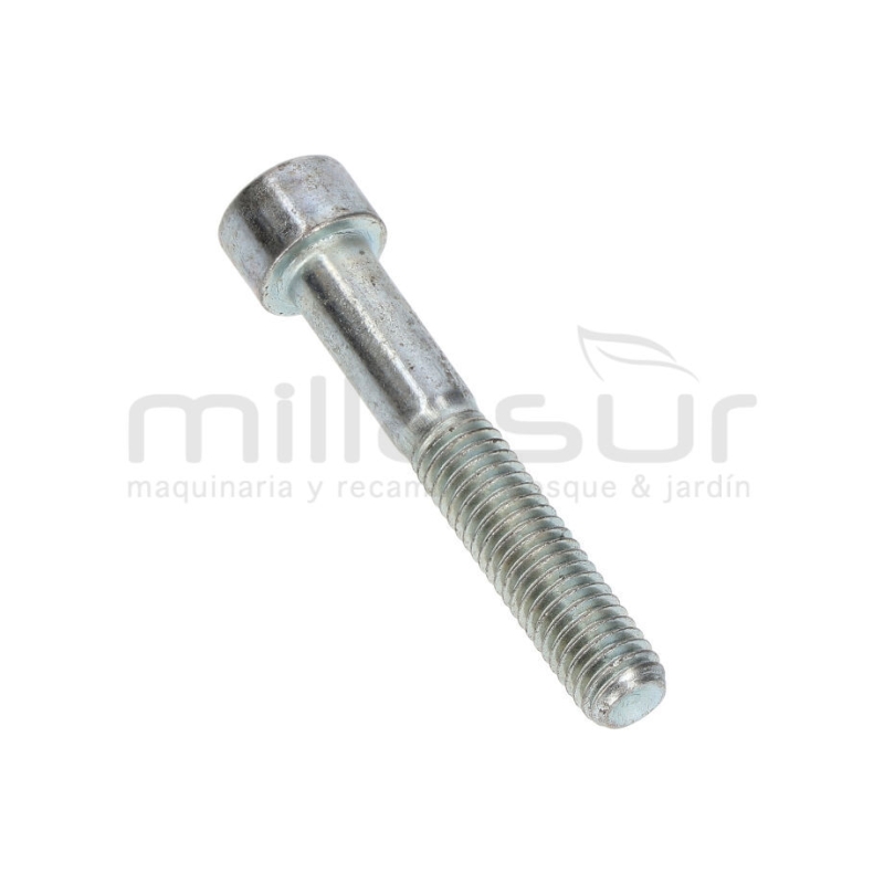 TORNILLO APRIETE CULATA BOMBA P100-187 - motoscamaralweb.com