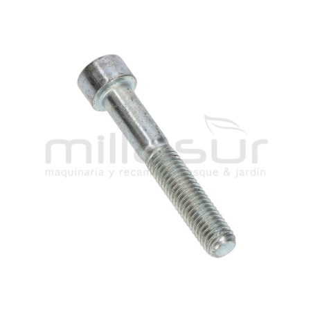 TORNILLO APRIETE CULATA BOMBA P100-187 - motoscamaralweb.com