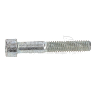 TORNILLO APRIETE CULATA BOMBA P100-187 - motoscamaralweb.com