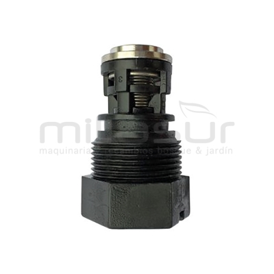 TAPON VALVULA COMPLETA BOMBA P100-187 (201) - motoscamaralweb.com