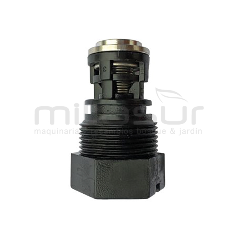 TAPON VALVULA COMPLETA BOMBA P100-187 (201) - motoscamaralweb.com