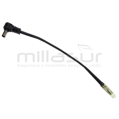 CABLE CONEXION - motoscamaralweb.com