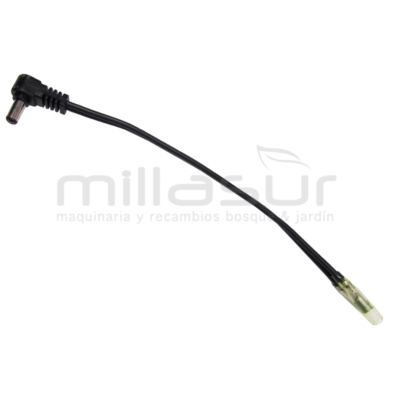 CABLE CONEXION - motoscamaralweb.com