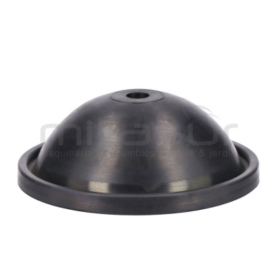 MEMBRANA CALDERIN SUP. BOMBA STRIP - motoscamaralweb.com