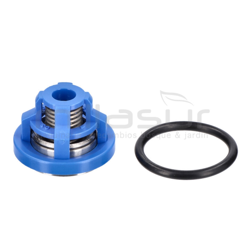 VALVULA BOMBA STRIP - motoscamaralweb.com