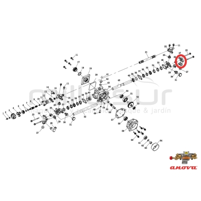 CAMARA BOMBA TIPO B (24) - motoscamaralweb.com