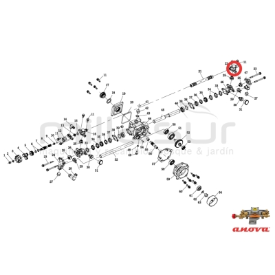 CAMARA SALIDA BOMBA PG1C-001 (22) - motoscamaralweb.com