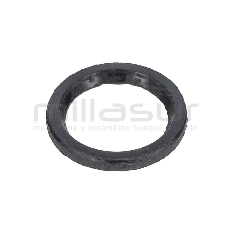 RETEN PISTON 25X18X2.5 BOMBA PG1C (36) - motoscamaralweb.com