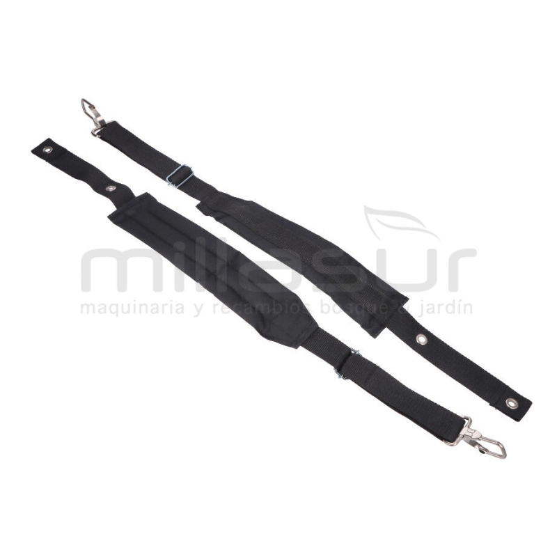 CINTAS ARNES PG1C - motoscamaralweb.com