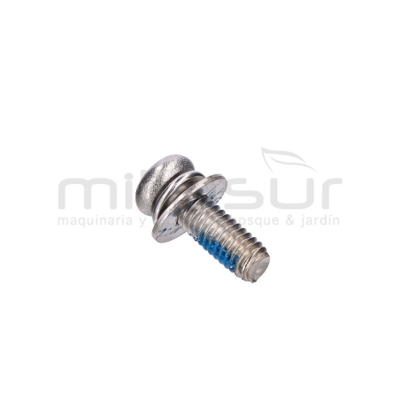 TORNILLO PLATO CORTE RC2000 (11) - motoscamaralweb.com
