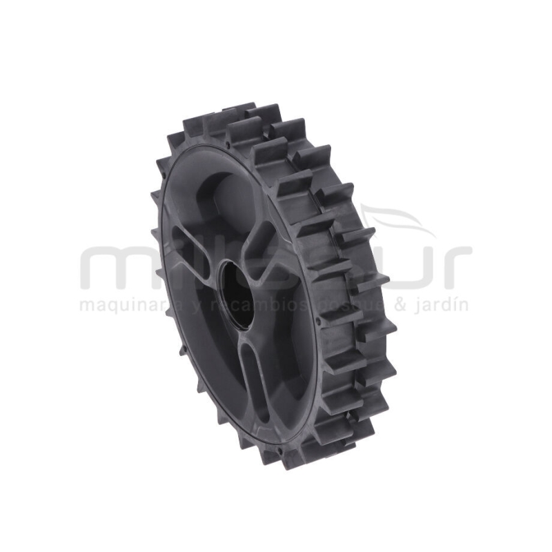 RUEDA RC300 (13) - motoscamaralweb.com