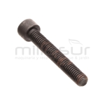 TORNILLO ALLEN M8X45 RLT12VH - motoscamaralweb.com