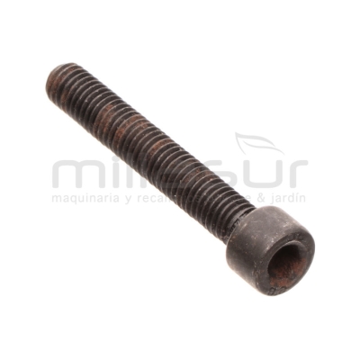 TORNILLO ALLEN M8X45 RLT12VH - motoscamaralweb.com