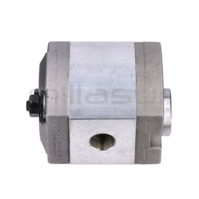 BOMBA RLT15G100 (20) - motoscamaralweb.com