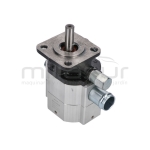 BOMBA RLT22GVH (44) - motoscamaralweb.com