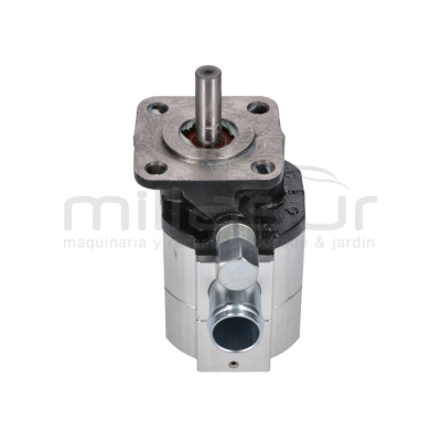 BOMBA RLT22GVH (44) - motoscamaralweb.com