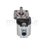 BOMBA RLT22GVH (44) - motoscamaralweb.com