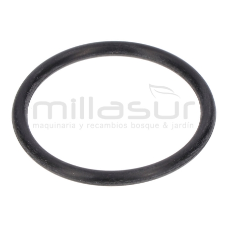 RETEN TORICO CILINDRO PRESION RLT6B - motoscamaralweb.com