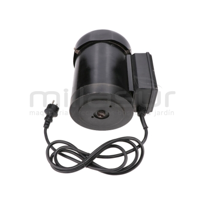 MOTOR COMPLETO - motoscamaralweb.com