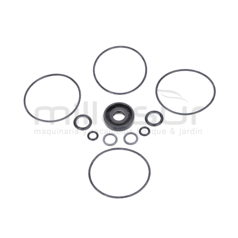 JUEGO JUNTAS BOMBA RLT7A - motoscamaralweb.com