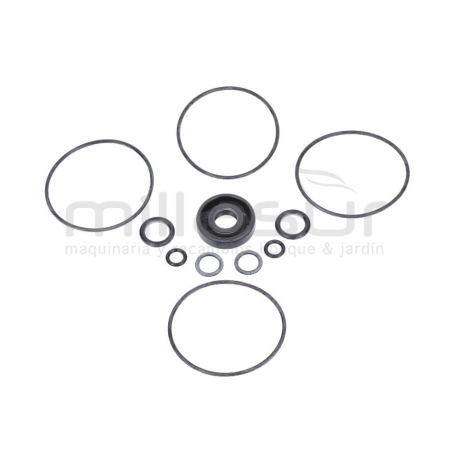 JUEGO JUNTAS BOMBA RLT7A - motoscamaralweb.com