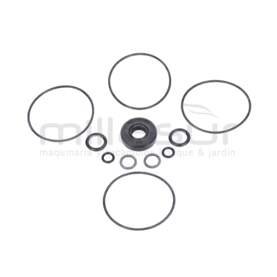 JUEGO JUNTAS BOMBA RLT7A - motoscamaralweb.com