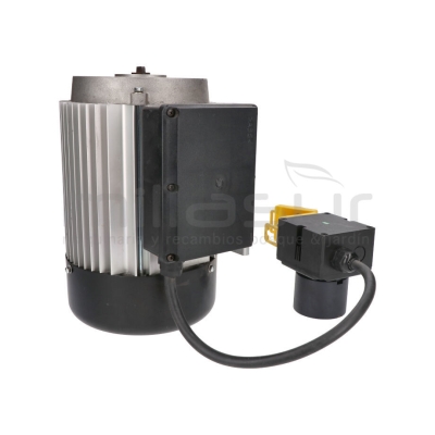 MOTOR COMPLETO RLT8B - motoscamaralweb.com