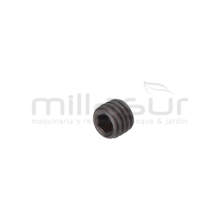 TORNILLO 6X6 RLT8C - motoscamaralweb.com