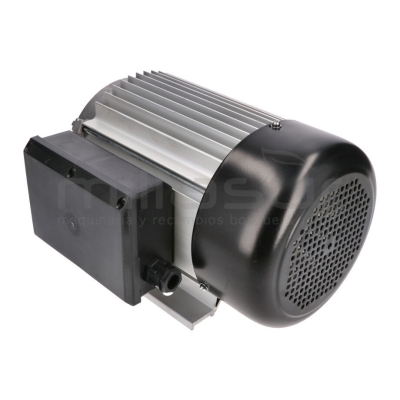 MOTOR ELECTRICO RLT8C - motoscamaralweb.com