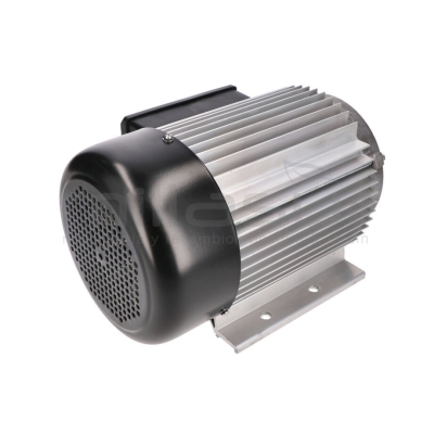 MOTOR ELECTRICO RLT8C - motoscamaralweb.com