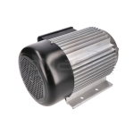 MOTOR ELECTRICO RLT8C - motoscamaralweb.com