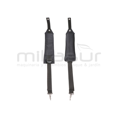 ARNES - motoscamaralweb.com