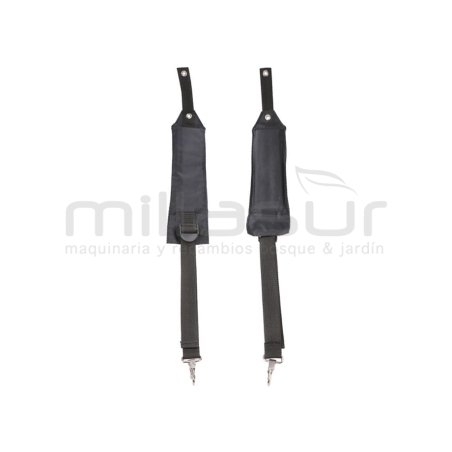 ARNES - motoscamaralweb.com