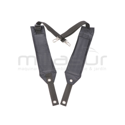 ARNES - motoscamaralweb.com