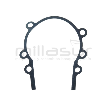 JUNTA CARTER SG65C - motoscamaralweb.com