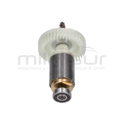 MOTOR PULIDORA (18) TAPLI2001 - motoscamaralweb.com