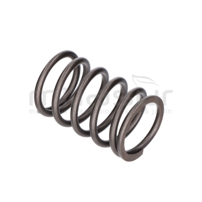 MUELLE VALVULA LC1P91F 546CC (4)-TC108LH LC2P73F 586CC (3) - motoscamaralweb.com