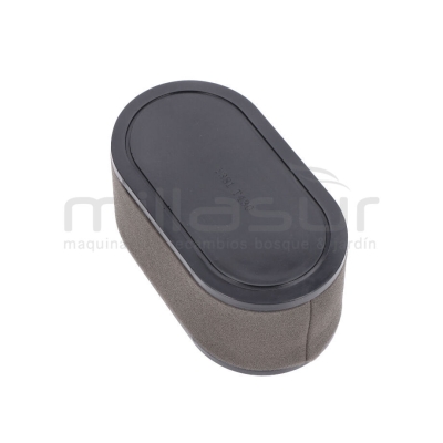 FILTRO DE AIRE LC1P91F 546CC (2) - motoscamaralweb.com