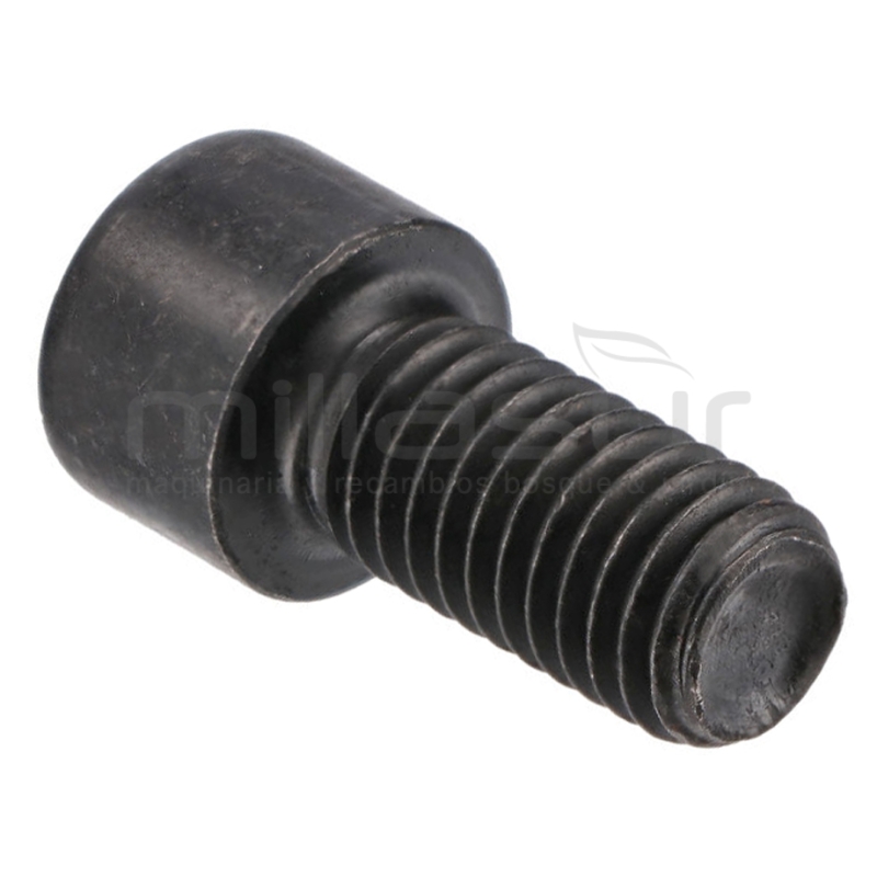 TORNILLO ALLEN SUJECION EJE PEDAL M10X20 TC62 ( 10 07) - motoscamaralweb.com