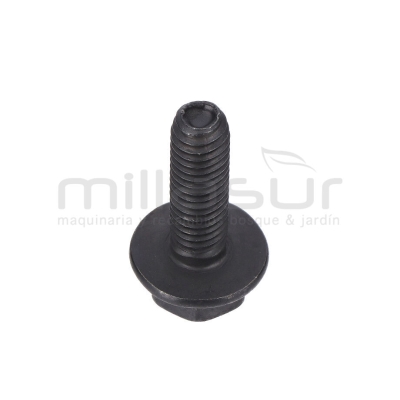 TORNILLO SUJECIÓN MOTOR TC98H (B3) - motoscamaralweb.com