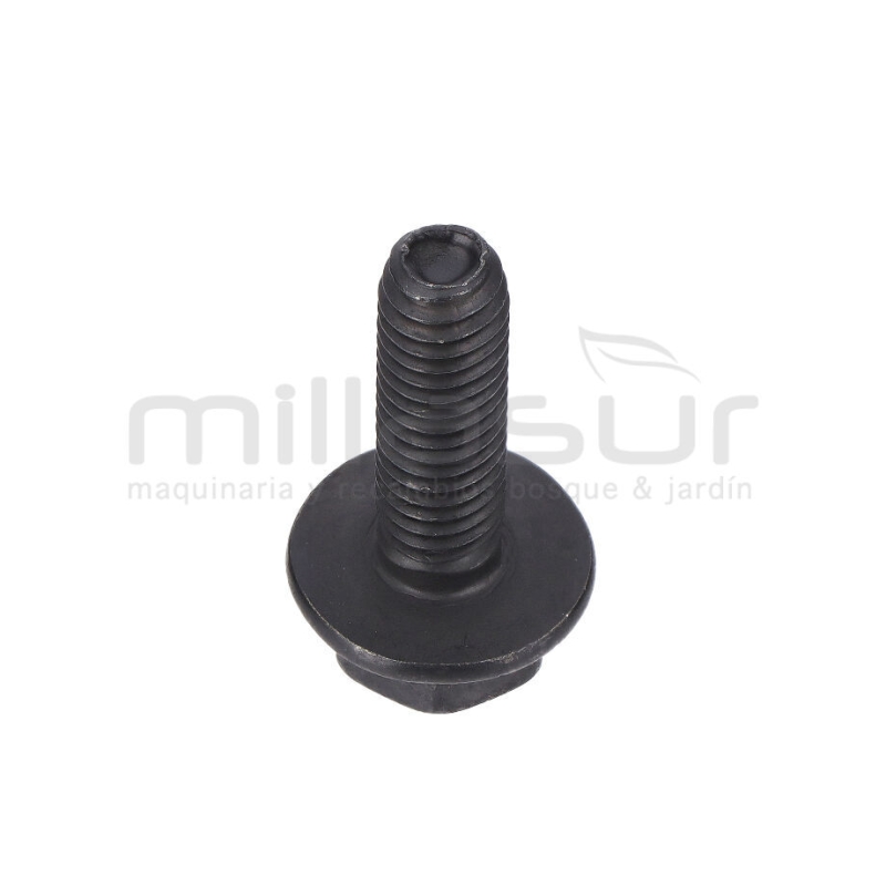 TORNILLO SUJECIÓN MOTOR TC98H (B3) - motoscamaralweb.com