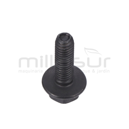 TORNILLO SUJECIÓN MOTOR TC98H (B3) - motoscamaralweb.com
