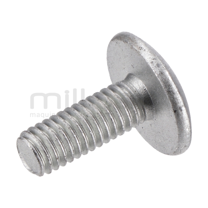 TORNILLO M6 TAPA POLEA MOTOR TC98S (16 12) - motoscamaralweb.com